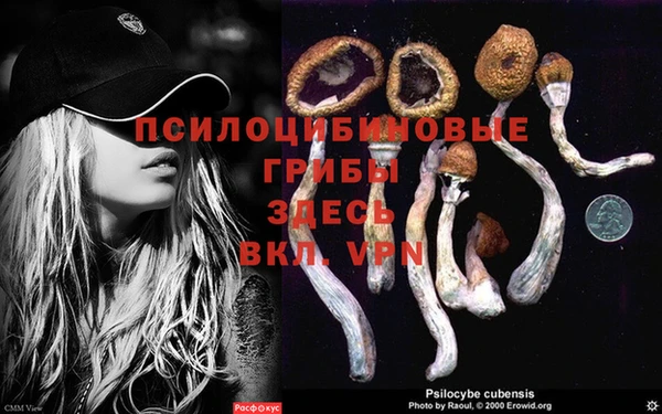 таблы Новодвинск