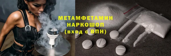 индика Новозыбков
