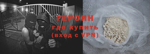индика Новозыбков