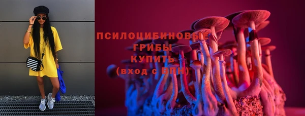 индика Новозыбков
