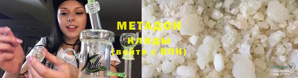 индика Новозыбков