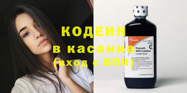 индика Новозыбков