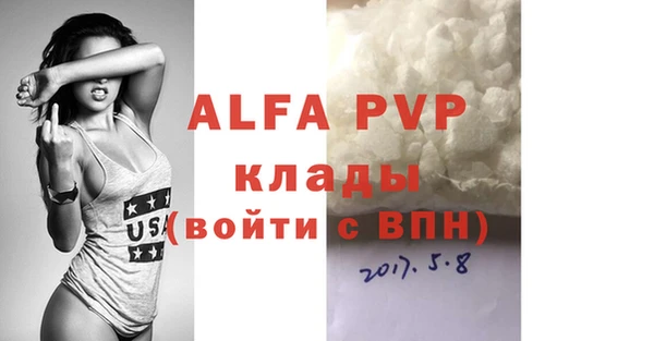 индика Новозыбков