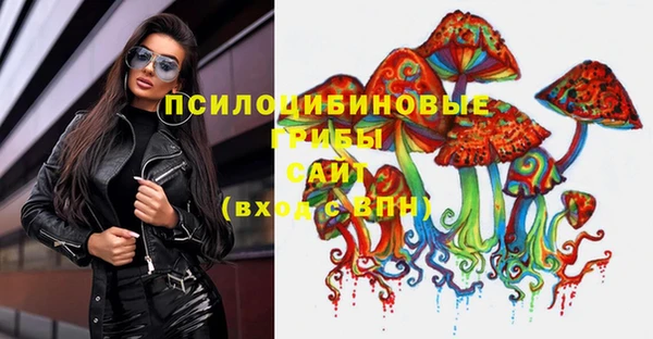 индика Новозыбков