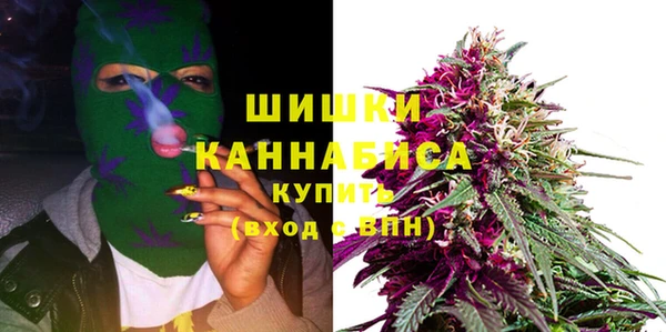 индика Новозыбков