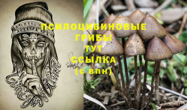 таблы Новодвинск