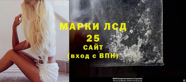 индика Новозыбков