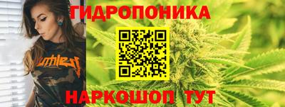 кокс Донской