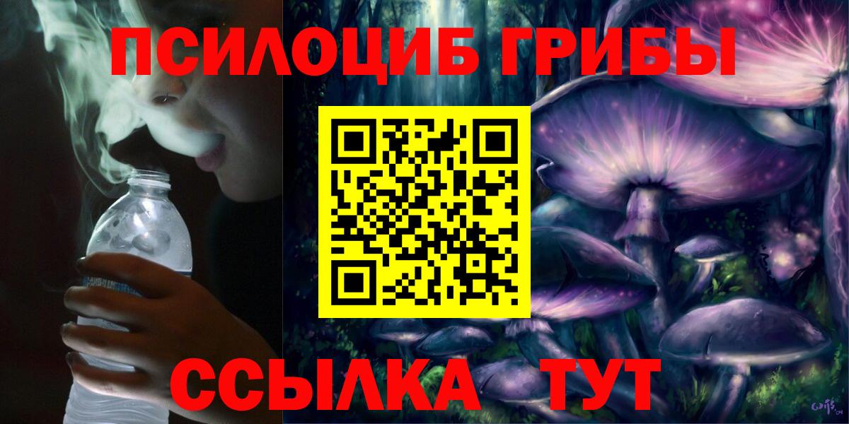 купить закладку  Краснокаменск  Галлюциногенные грибы Psilocybine cubensis 
